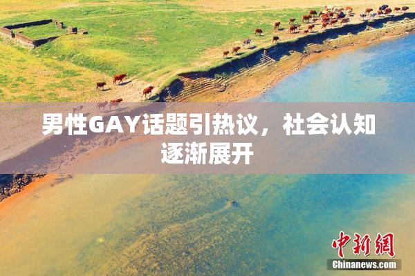 男性GAY话题引热议，社会认知逐渐展开