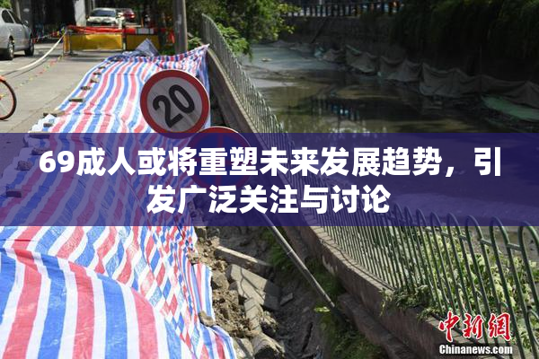 69成人或将重塑未来发展趋势，引发广泛关注与讨论