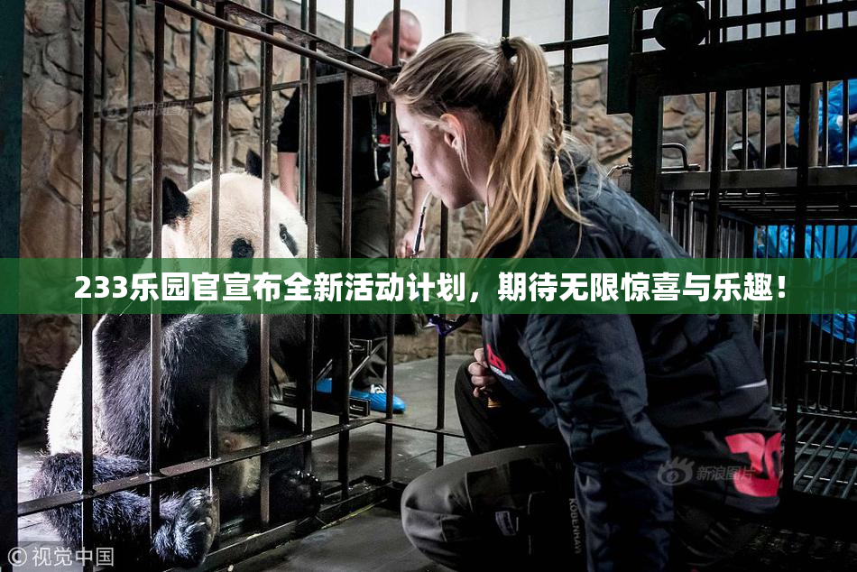 233乐园官宣布全新活动计划，期待无限惊喜与乐趣！