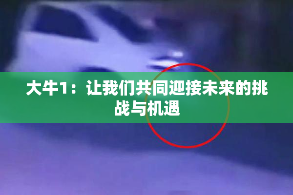 大牛1：让我们共同迎接未来的挑战与机遇