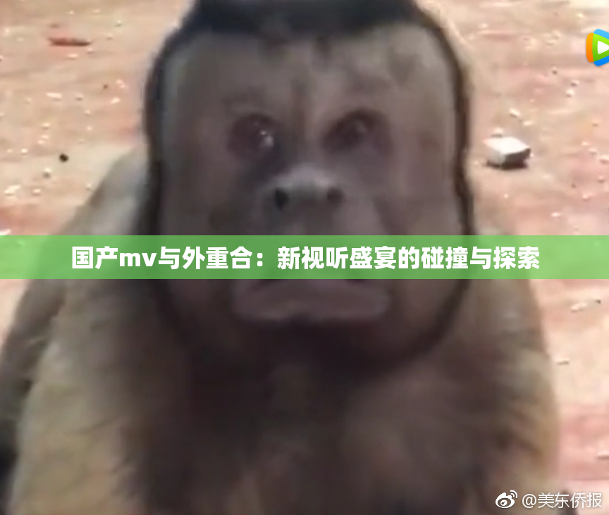 国产mv与外重合：新视听盛宴的碰撞与探索