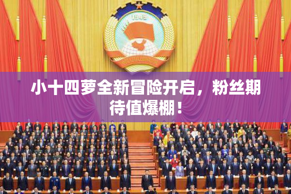 小十四萝全新冒险开启，粉丝期待值爆棚！