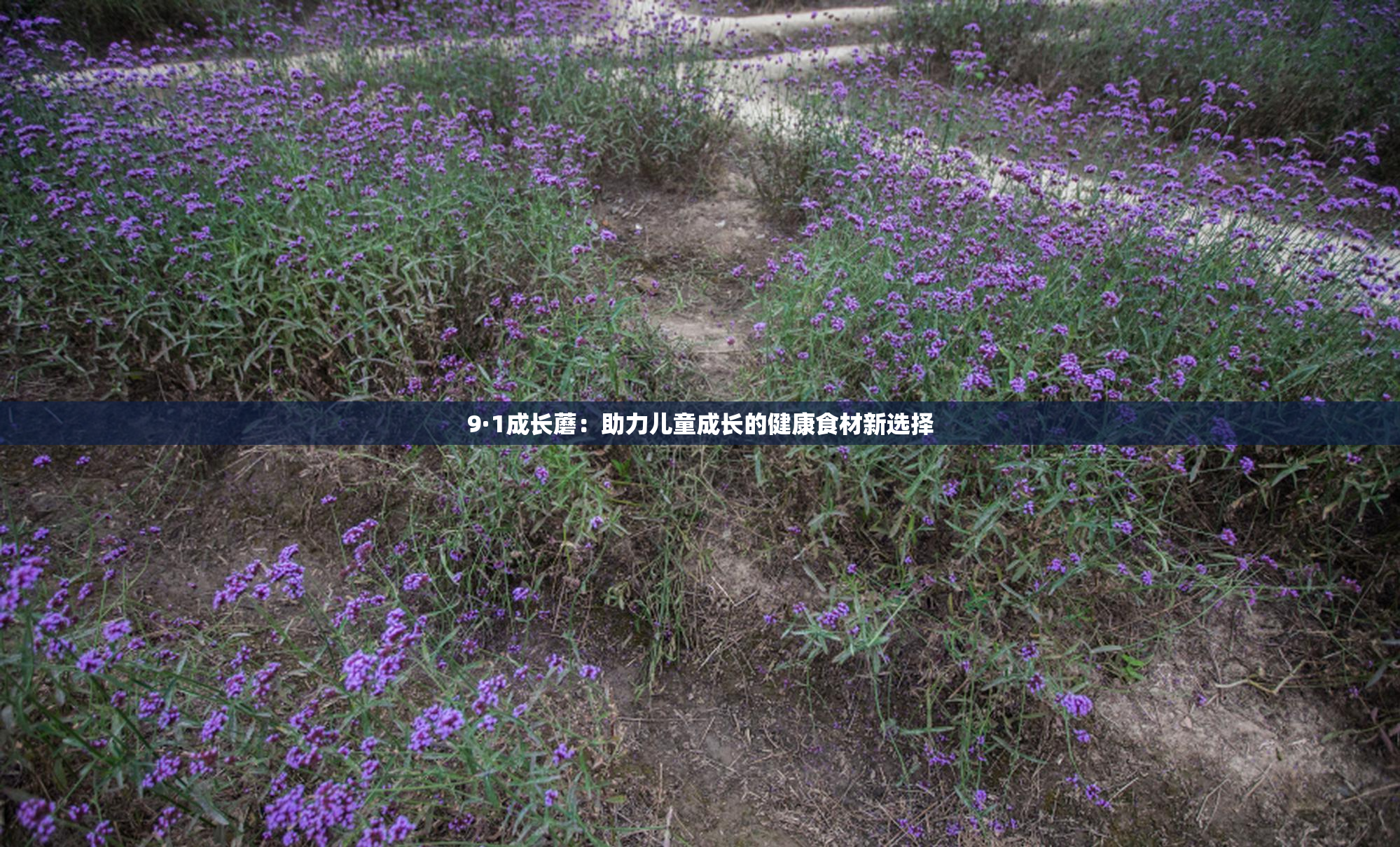 9·1成长蘑：助力儿童成长的健康食材新选择