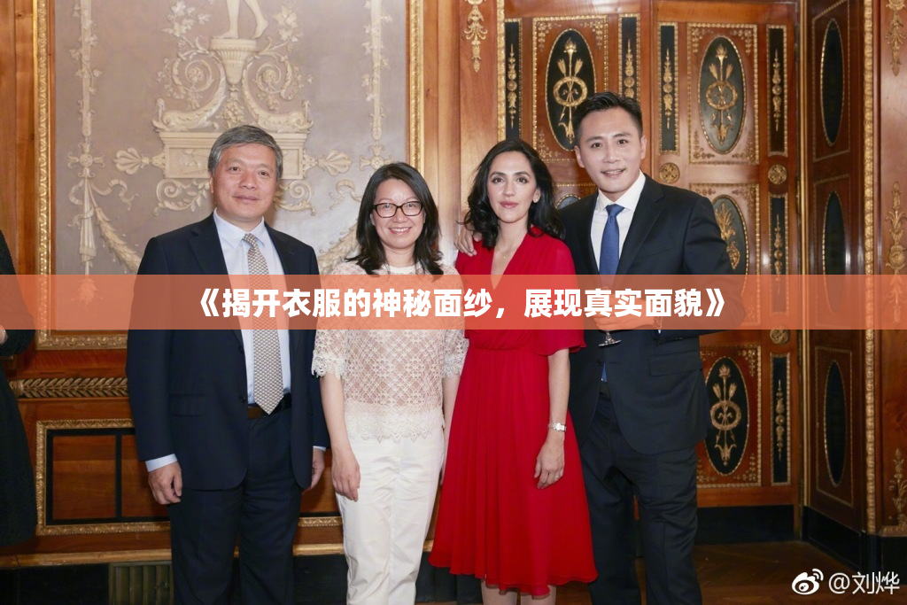 《揭开衣服的神秘面纱，展现真实面貌》