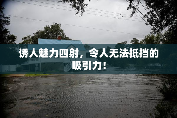 诱人魅力四射，令人无法抵挡的吸引力！