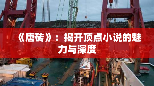 《唐砖》：揭开顶点小说的魅力与深度