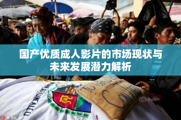 国产优质成人影片的市场现状与未来发展潜力解析