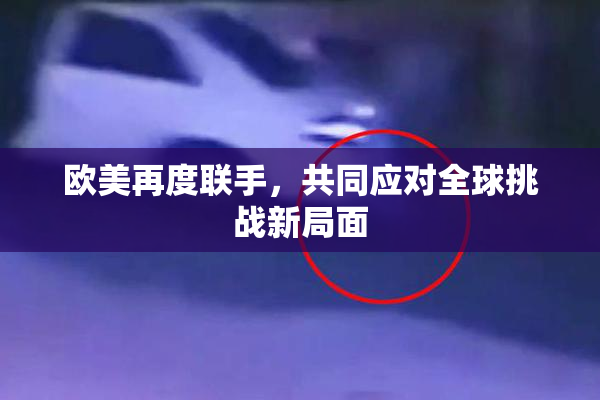 欧美再度联手，共同应对全球挑战新局面