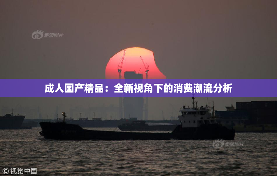 成人国产精品：全新视角下的消费潮流分析