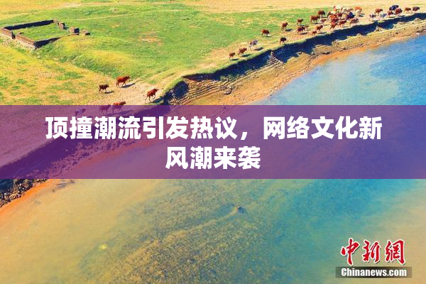 顶撞潮流引发热议，网络文化新风潮来袭