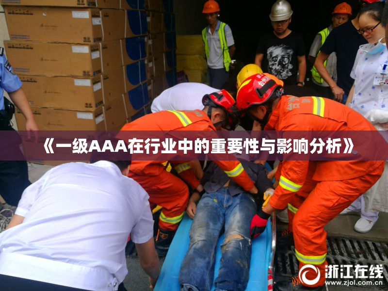 《一级AAA在行业中的重要性与影响分析》