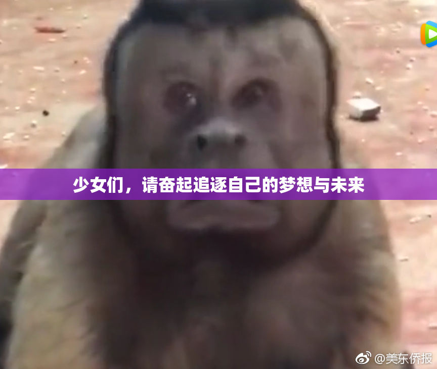 少女们，请奋起追逐自己的梦想与未来