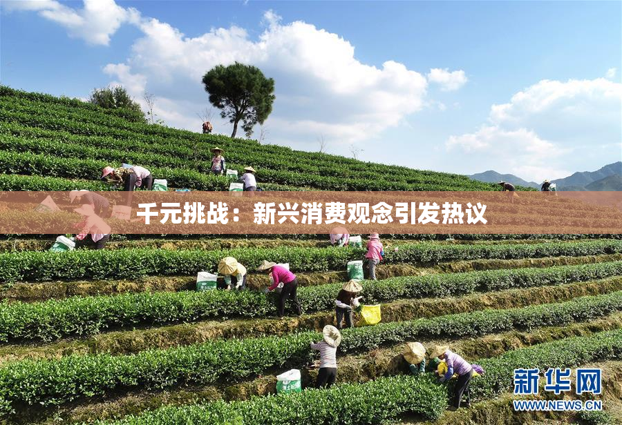 千元挑战：新兴消费观念引发热议
