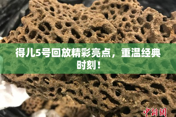 得儿5号回放精彩亮点，重温经典时刻！
