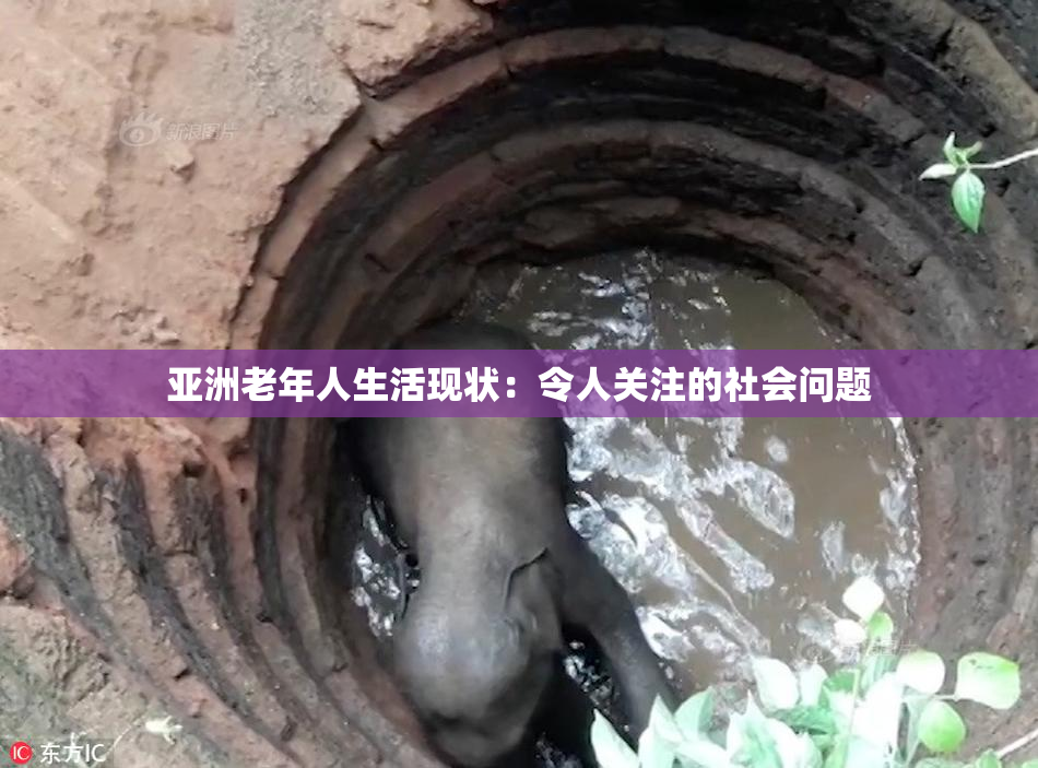亚洲老年人生活现状：令人关注的社会问题