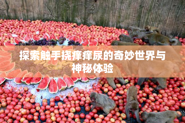 探索触手挠痒痒尿的奇妙世界与神秘体验