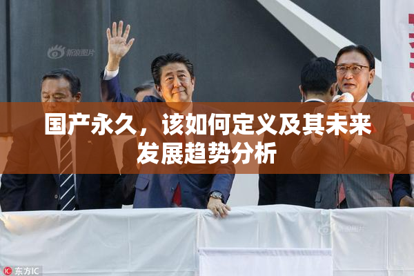 国产永久，该如何定义及其未来发展趋势分析