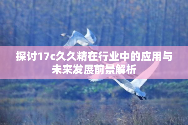 探讨17c久久精在行业中的应用与未来发展前景解析