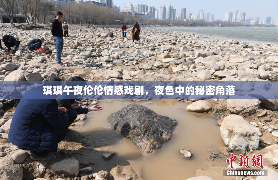 琪琪午夜伦伦情感戏剧，夜色中的秘密角落