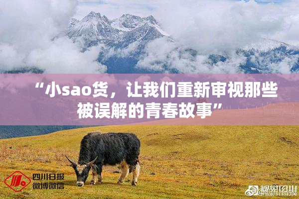 “小sao货，让我们重新审视那些被误解的青春故事”