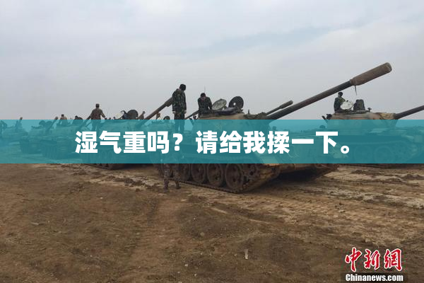 湿气重吗？请给我揉一下。