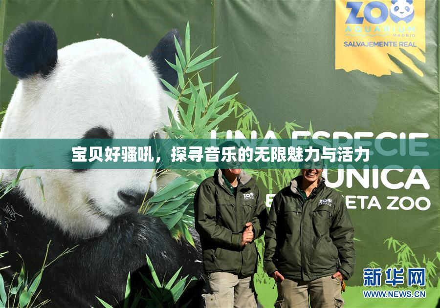 宝贝好骚吼，探寻音乐的无限魅力与活力