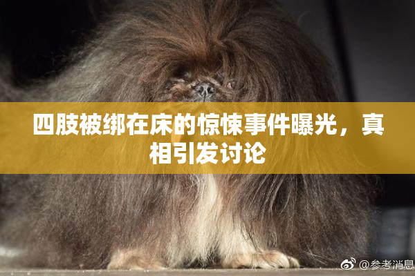 四肢被绑在床的惊悚事件曝光，真相引发讨论