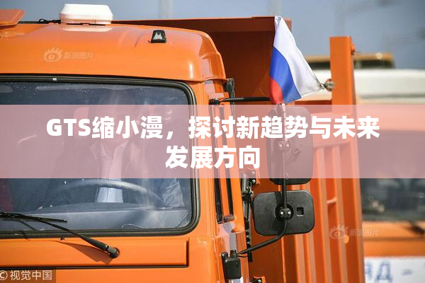 GTS缩小漫，探讨新趋势与未来发展方向