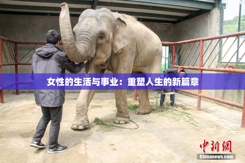 女性的生活与事业：重塑人生的新篇章