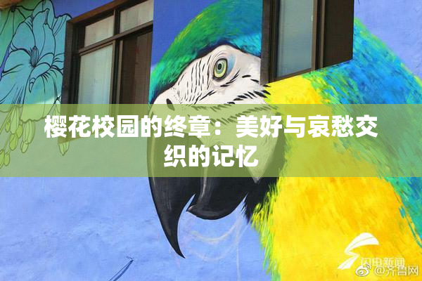 樱花校园的终章：美好与哀愁交织的记忆