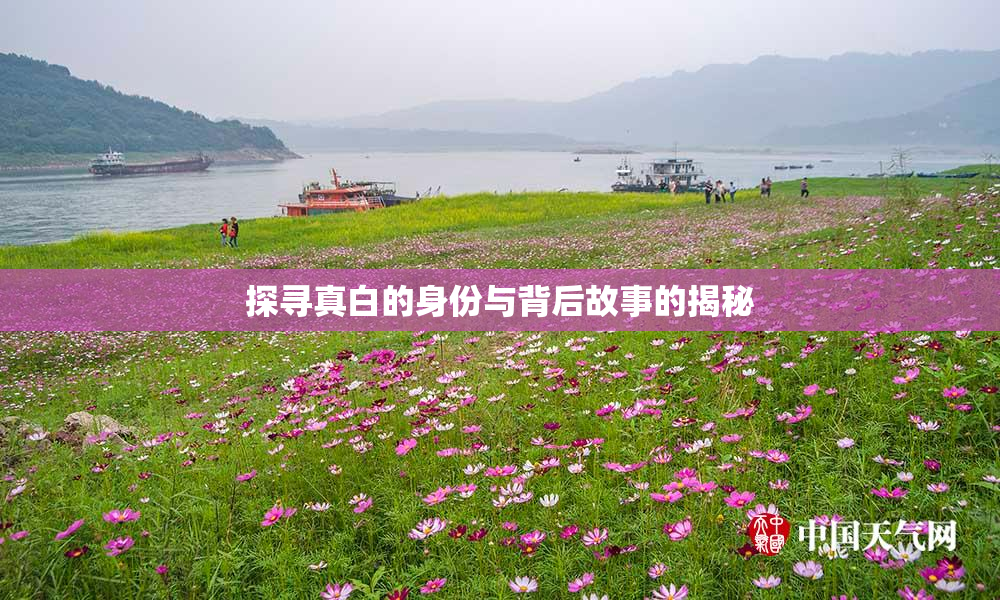 探寻真白的身份与背后故事的揭秘
