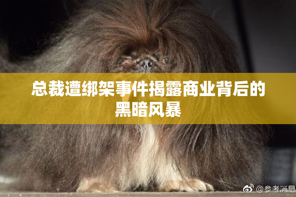 总裁遭绑架事件揭露商业背后的黑暗风暴