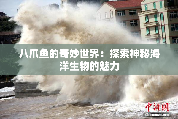 八爪鱼的奇妙世界：探索神秘海洋生物的魅力