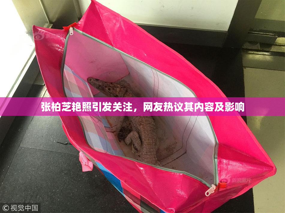 张柏芝艳照引发关注，网友热议其内容及影响