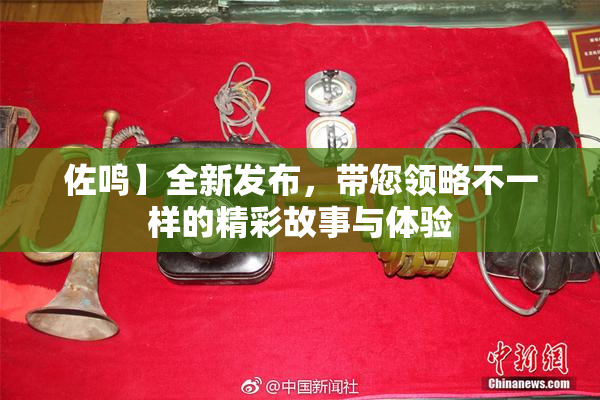 佐鸣】全新发布，带您领略不一样的精彩故事与体验