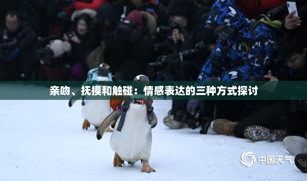 亲吻、抚摸和触碰：情感表达的三种方式探讨