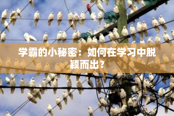 学霸的小秘密：如何在学习中脱颖而出？