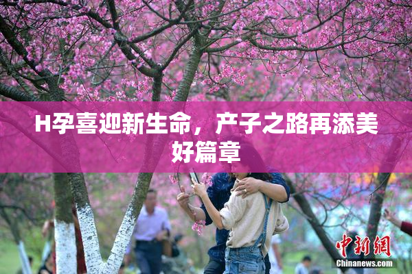 H孕喜迎新生命，产子之路再添美好篇章