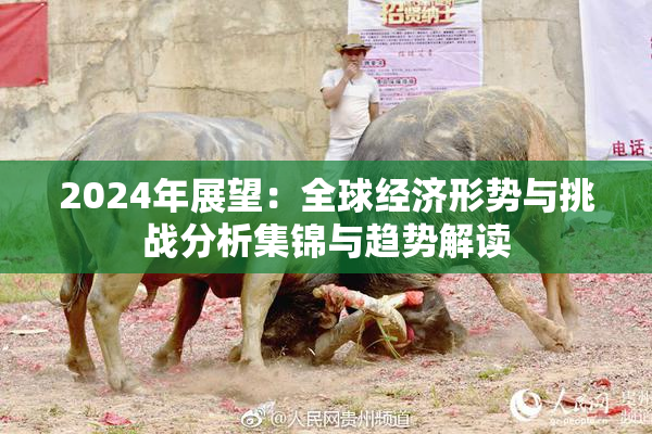 2024年展望：全球经济形势与挑战分析集锦与趋势解读