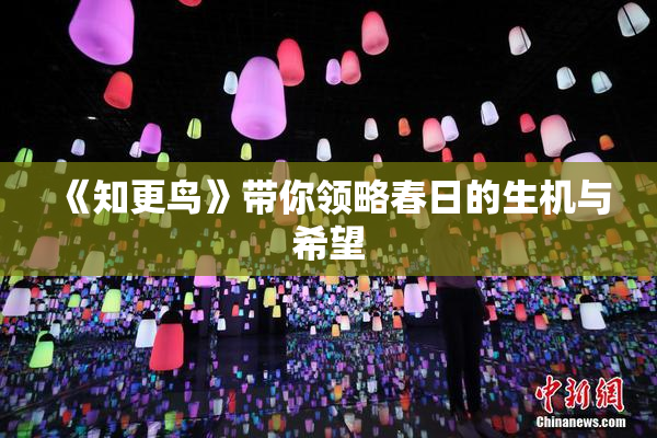 《知更鸟》带你领略春日的生机与希望