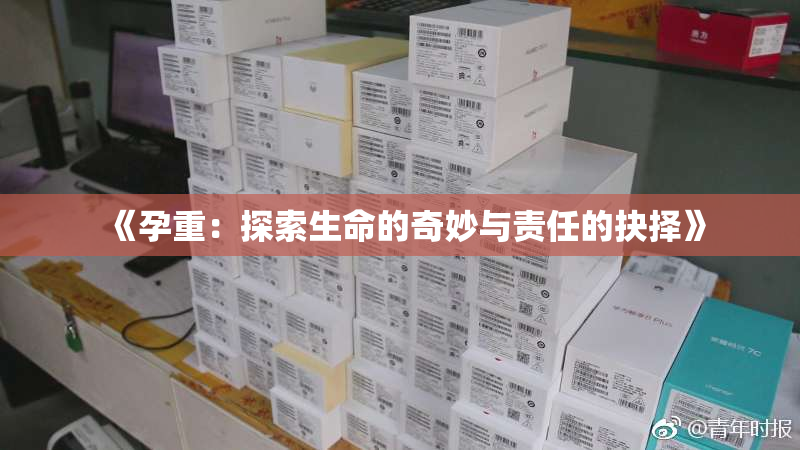 《孕重：探索生命的奇妙与责任的抉择》