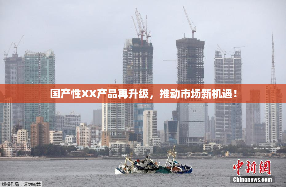国产性XX产品再升级，推动市场新机遇！