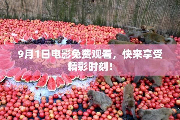 9月1日电影免费观看，快来享受精彩时刻！