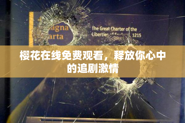 樱花在线免费观看，释放你心中的追剧激情