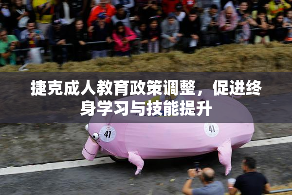 捷克成人教育政策调整，促进终身学习与技能提升