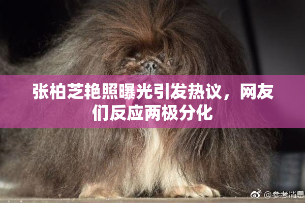 张柏芝艳照曝光引发热议，网友们反应两极分化