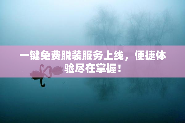 一键免费脱装服务上线，便捷体验尽在掌握！