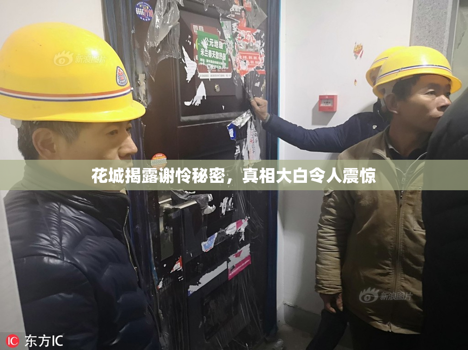 花城揭露谢怜秘密，真相大白令人震惊