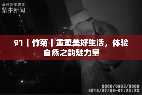 91丨竹菊丨重塑美好生活，体验自然之韵魅力量