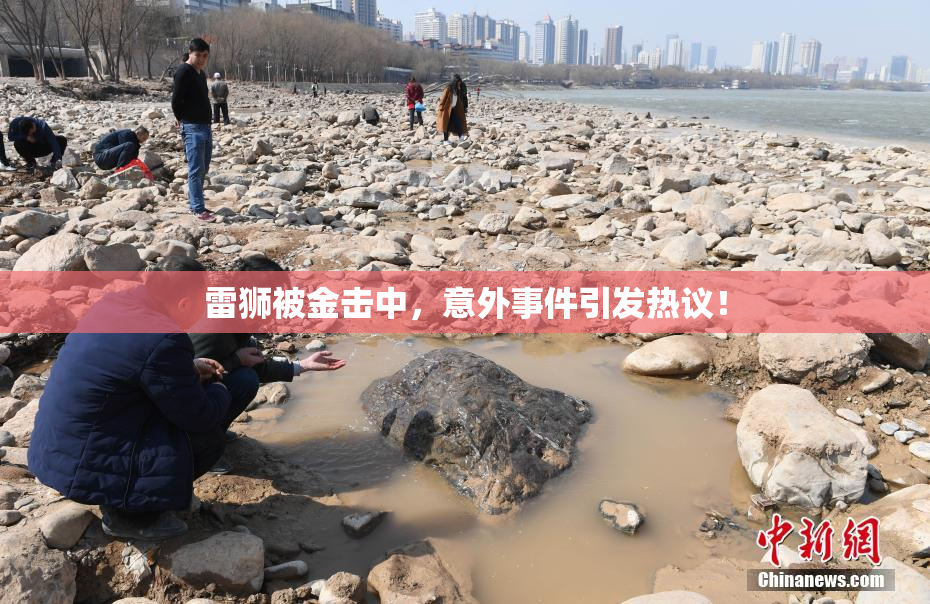雷狮被金击中，意外事件引发热议！